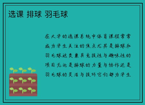 选课 排球 羽毛球
