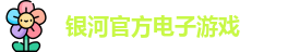 银河电子游戏
